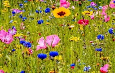 Forelesning av Rita Sørly: &laquo;Vitenskapsteoretiske tradisjoner innenfor samarbeidsbasert forskning&raquo;