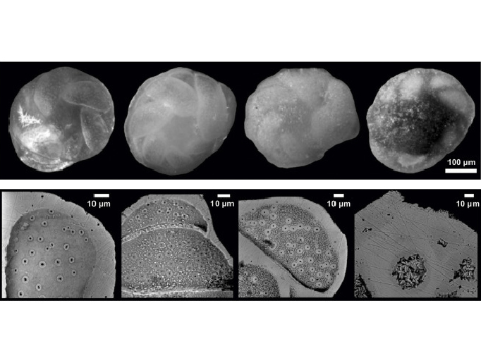 Time travel through methane seeps, using tiny time capsules