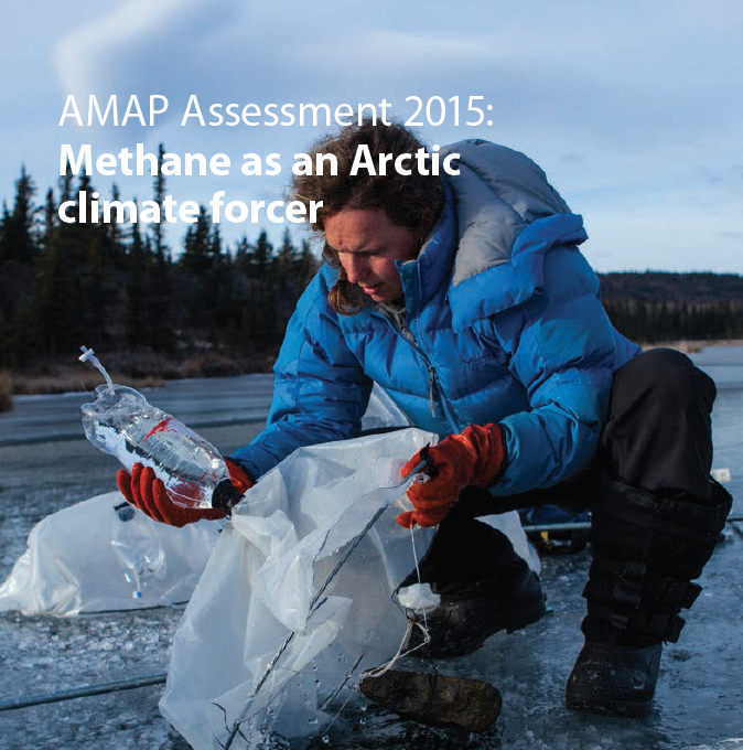 Front page of the AMAP report Screenshot