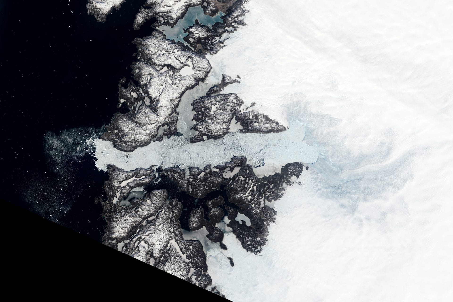Ice streams can be slowed down by gas hydrates