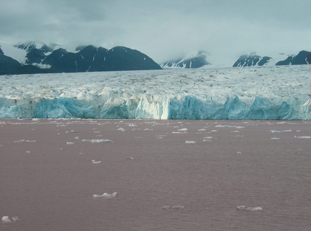Kronebreen Svalbard