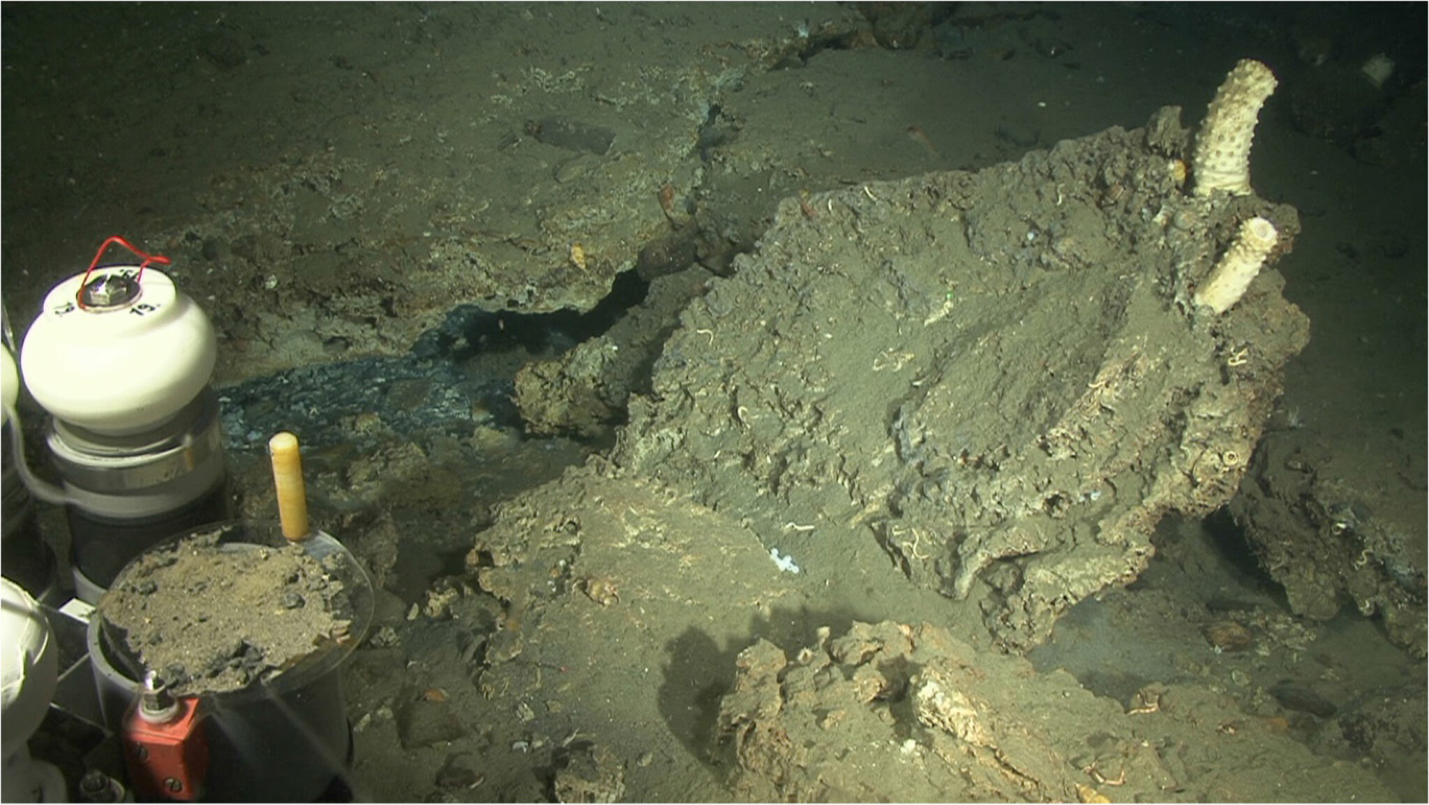 CAGE contributes to new findings on methane release from the seabed ...