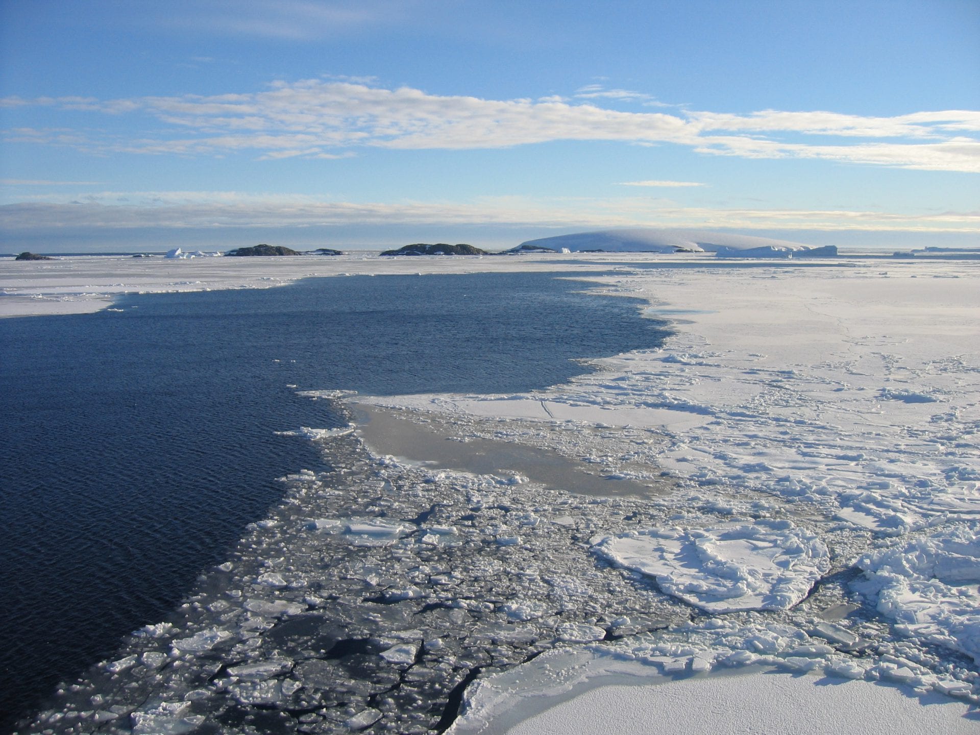 An ice free corridor sustained Arctic marine life during the last Ice Age