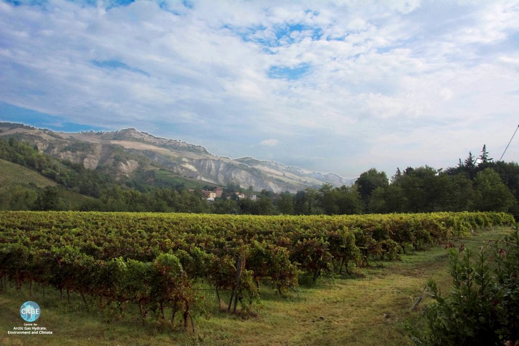 Wine and gypsum. Photo Maja Sojtaric