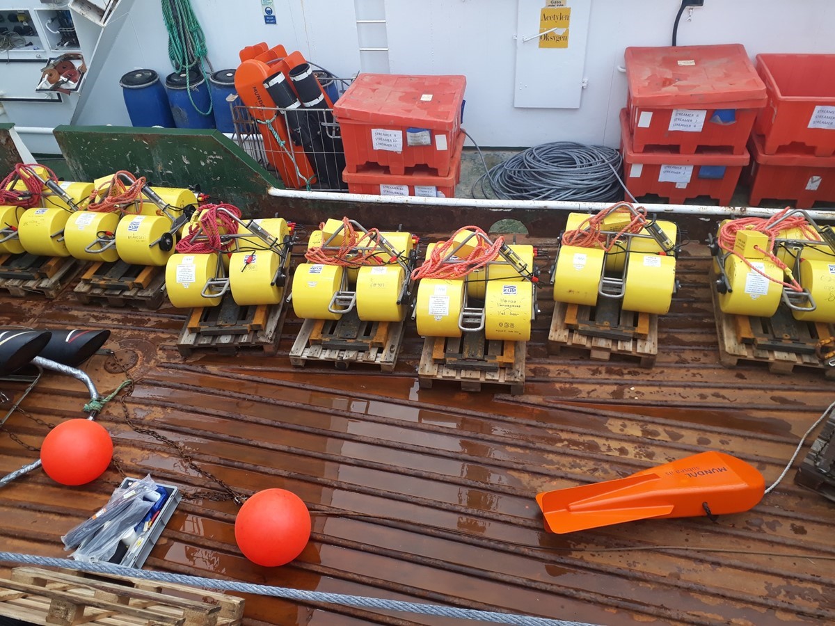 Searching for the unexpected signals in the deep sea