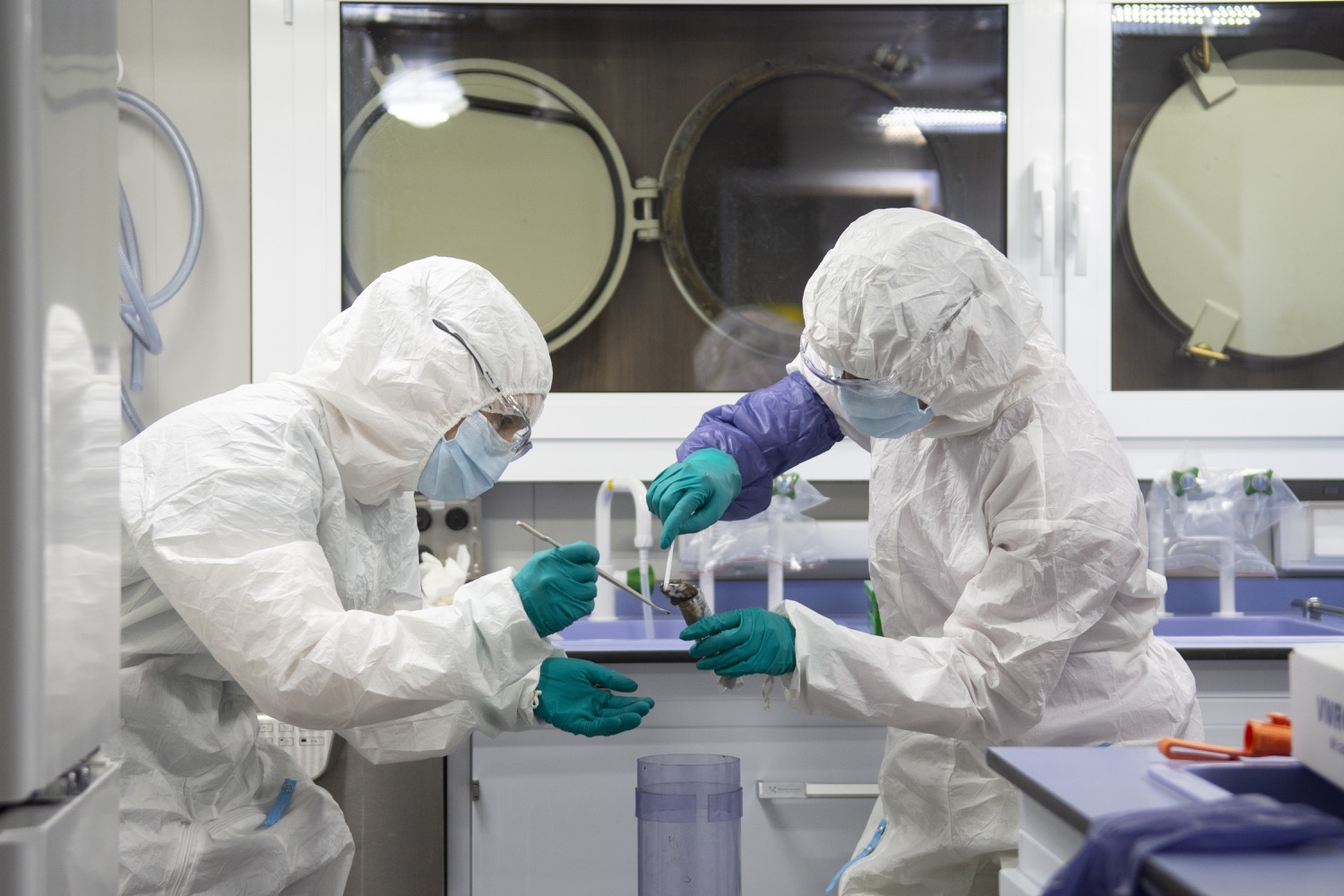 Harvesting the DNA