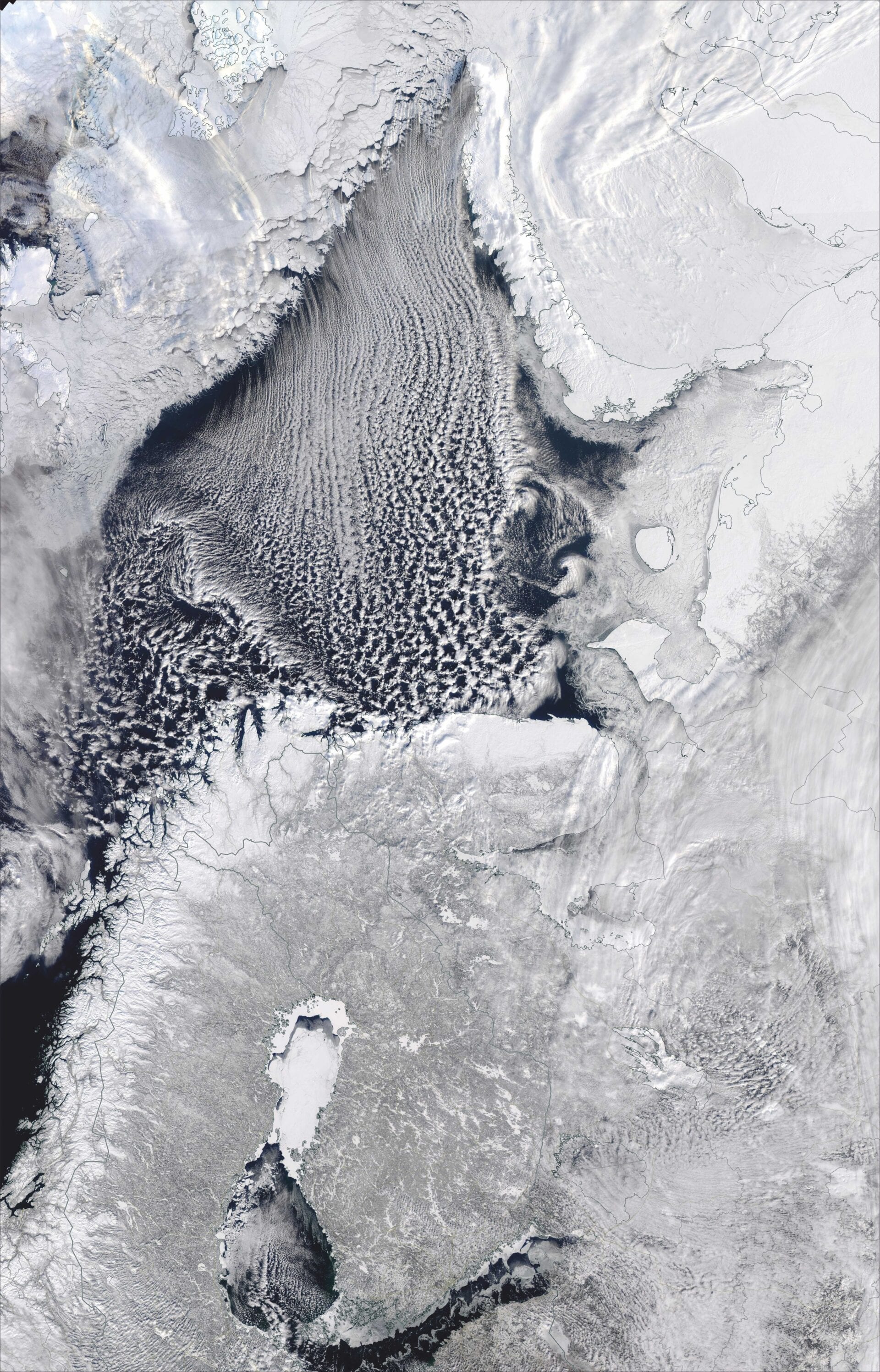 Snow chaos in Europe caused by melting sea-ice in the Arctic