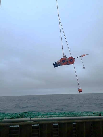 The unpredictability factor during a cruise