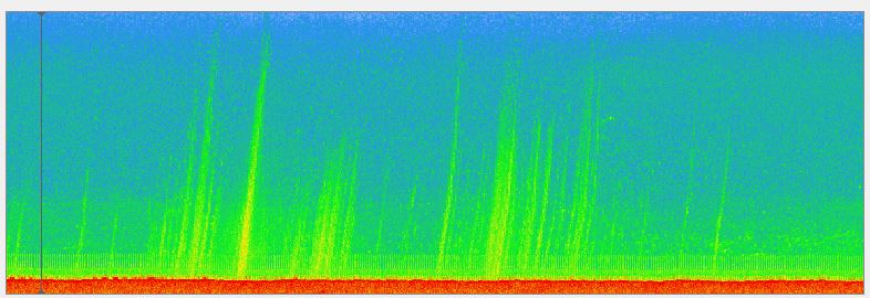 Investigating the forest of flares