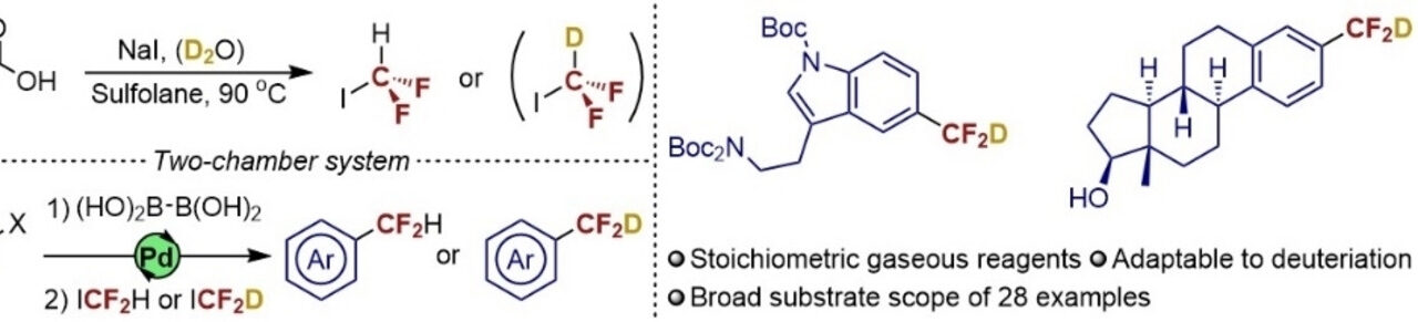 Research Article: AU
