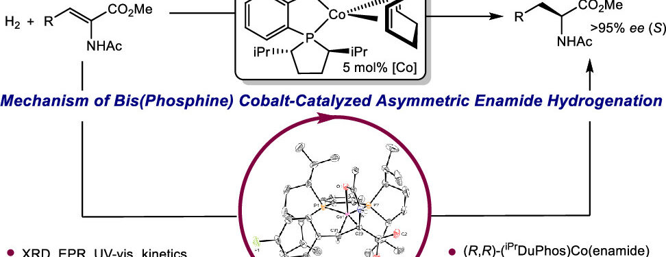 Research Article: UU