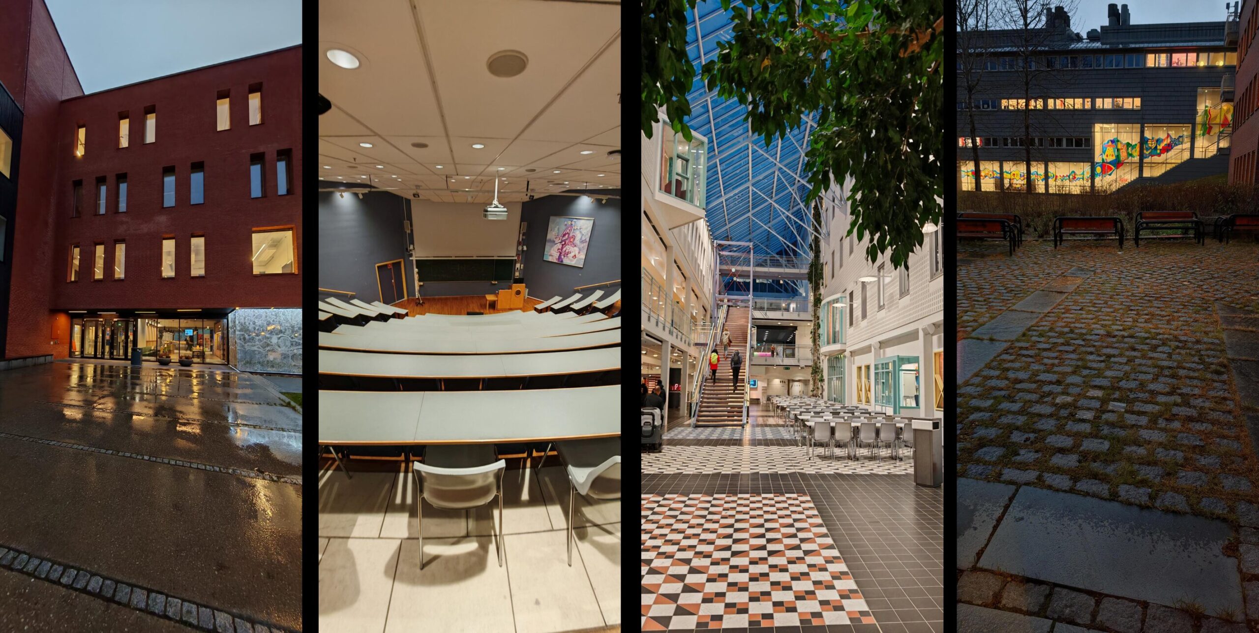 venue 4 panels showcasing the Palaeoarc 2025 venue.
