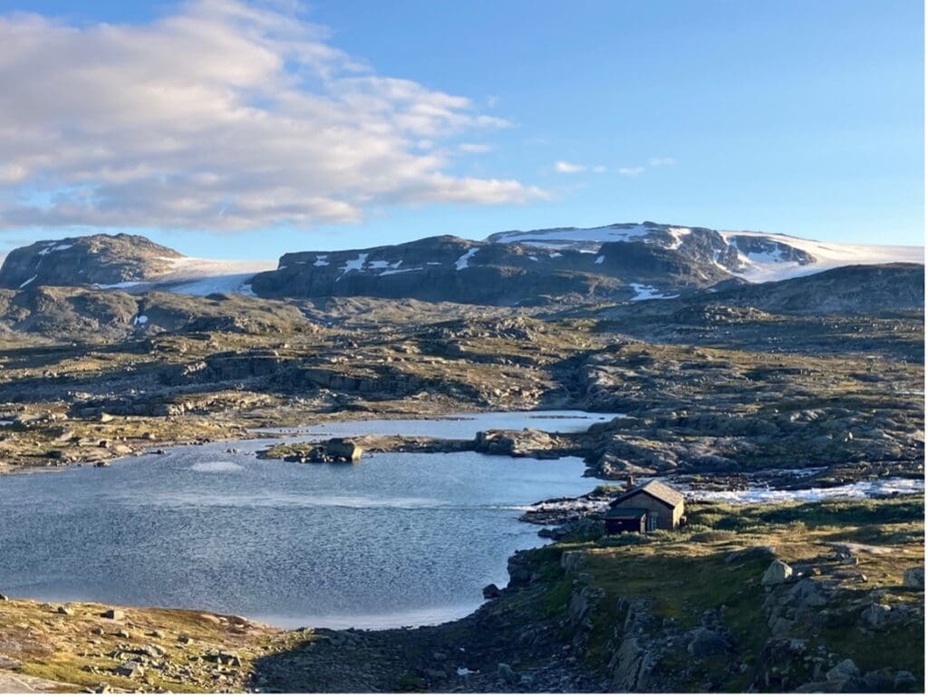 An internship story: Ecology and Biology on the field with the University of Bergen, Norway