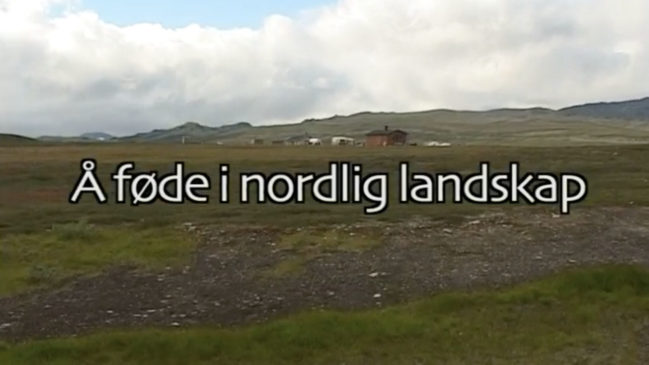 Giving Birth in Northern Landscape
