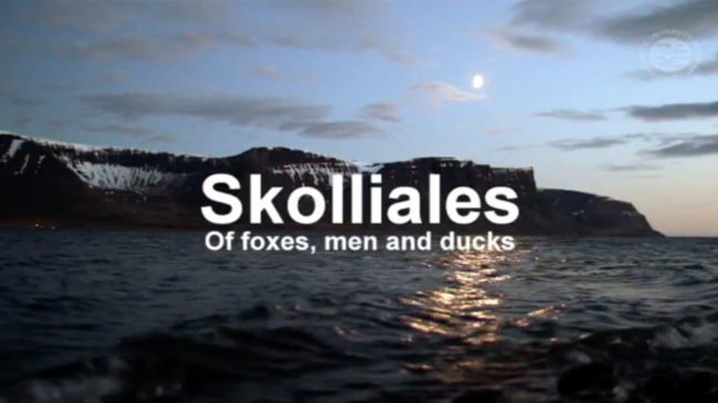 Skolliales
