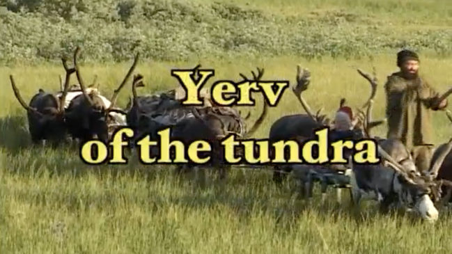 Yerv of the Tundra